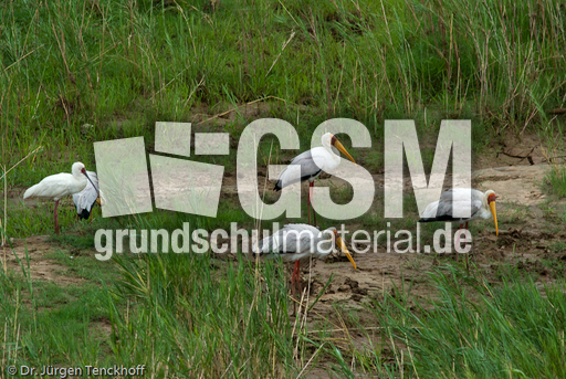 Nimmersatt (21 von 22).jpg